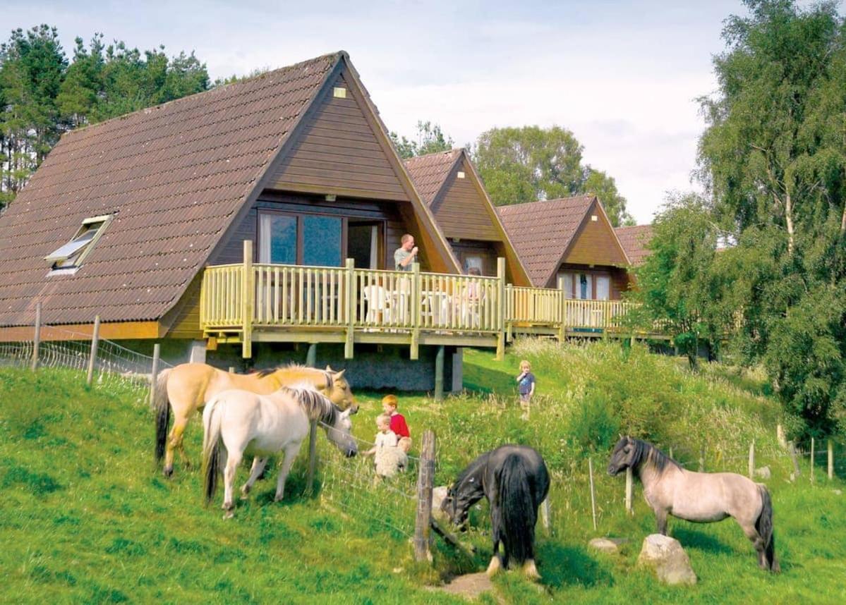 Delny Highland Lodges Invergordon Exterior photo